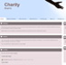 Charity template