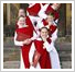 Ripon Cathedral Choir