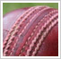 Elmswell Cricket Club