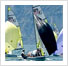 RS Feva Sailing